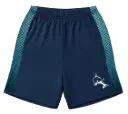 Short Basketball Home